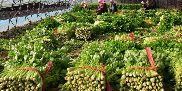 The Fennan District’s Success Story in Tangshan, Hebei Province