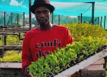 The Inspiring Journey of Sphosakhe Cele from Sustenance Farming to Agricultural Entrepreneurship
