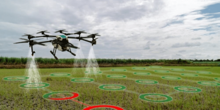 The Soaring Impact of Advanced Drones on Farms