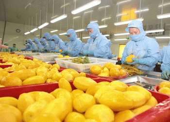 Navigating Challenges and Pursuing $54 Billion Export Target