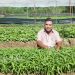Sustainable Practices and Innovations Transforming Vegetable Farming in Xã An Hòa Tây
