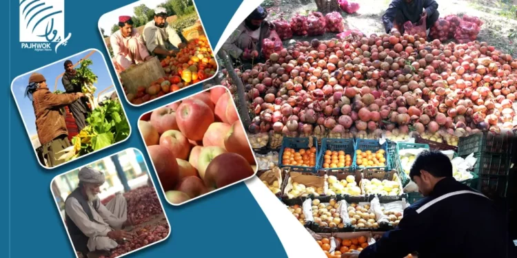 Boosting Agricultural Exports: Challenges and Solutions in Afghanistan’s Farming Sector