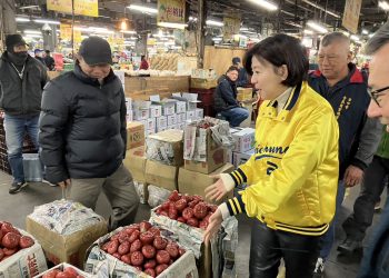 Navigating the Bounty: Insights into Spring Festival Agricultural Markets in Taiwan