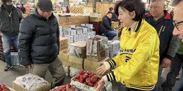 Navigating the Bounty: Insights into Spring Festival Agricultural Markets in Taiwan