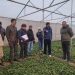 Accelerating Projects for a Sustainable Future