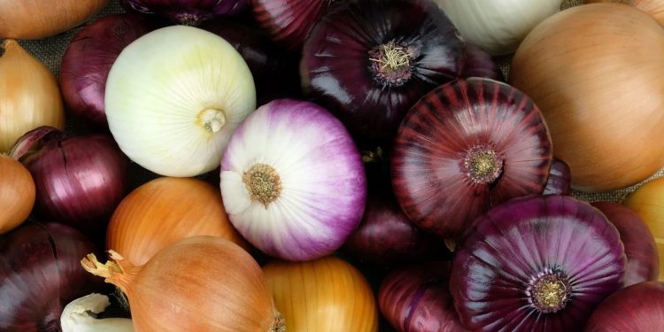 Suspension of Onion Imports Boosts Local Farmers