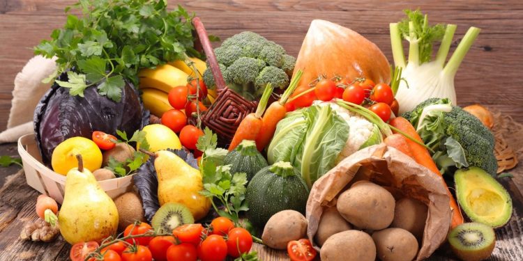 “Agrokomplex” Harvests Over 38 Thousand Tons of Fruit and Vegetables