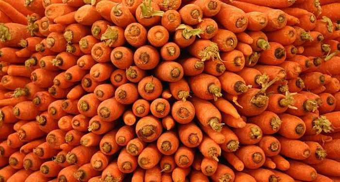 Unveiling the Most Delectable Carrot Varieties for Your Farm