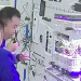 Sustainable Space Farming Triumph: Fresh Vegetable Harvest on Shenzhou-17