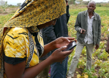 Harnessing AI for Faster Crop Breeding and Soil Carbon Management