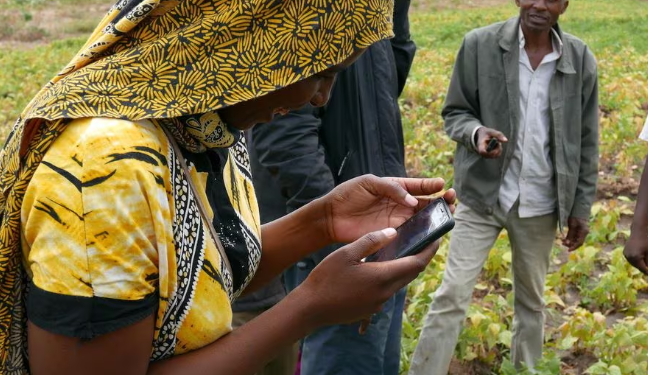 Harnessing AI for Faster Crop Breeding and Soil Carbon Management