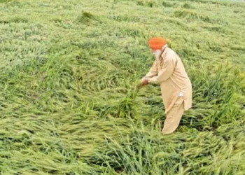 Budget Surplus in Agriculture: Unraveling the Unspent Crores and Implications for the Farming Community