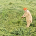 Budget Surplus in Agriculture: Unraveling the Unspent Crores and Implications for the Farming Community