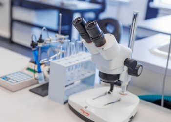 Yakutia’s Agricultural Revolution: Pioneering Advances in Seed Science and Agrobiotechnology