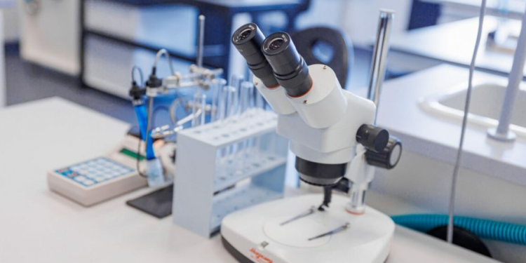 Yakutia’s Agricultural Revolution: Pioneering Advances in Seed Science and Agrobiotechnology