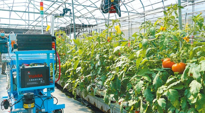 Revitalizing Taiwanese Agriculture: Navigating Challenges Through Innovation and Collaboration