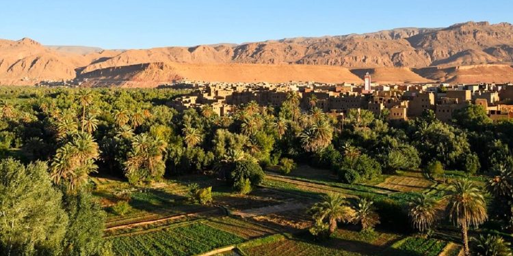 Morocco’s Agricultural Revolution in the 21st Century