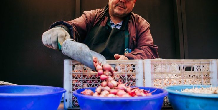 Agricultural Innovation Through Startups and Grants: National Project Results Spark Interest