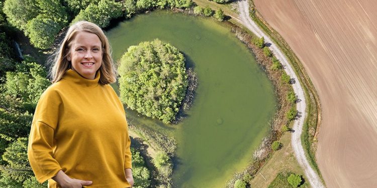 Challenges, Investments, and Sustainability in Swedish Farming