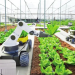 Revolutionizing Agriculture in North-Eastern States: Embracing the Tech Wave
