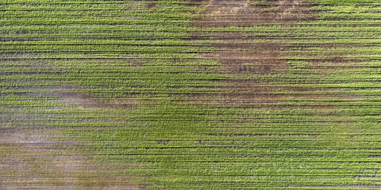 Climate Change and Agriculture: Navigating Challenges and Embracing Sustainability