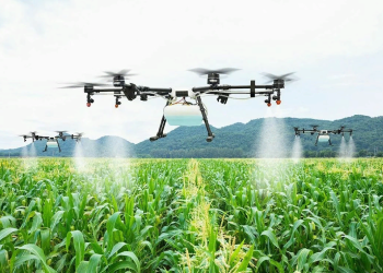 Key Trends Shaping Digital Transformation in 2024