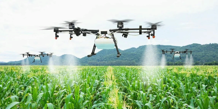 Key Trends Shaping Digital Transformation in 2024