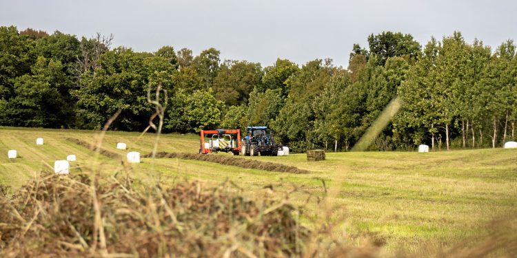 Balancing Agriculture and Environmental Stewardship: A Closer Look at the Intersection