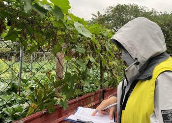 Navigating Frost Challenges: Protecting Pear Orchards and Tea Plantations in the Face of Cold Weather