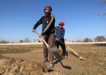 Unprecedented Drought Hits Northern Balkh, Posing Threats to Agricultural Livelihoods