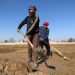 Unprecedented Drought Hits Northern Balkh, Posing Threats to Agricultural Livelihoods
