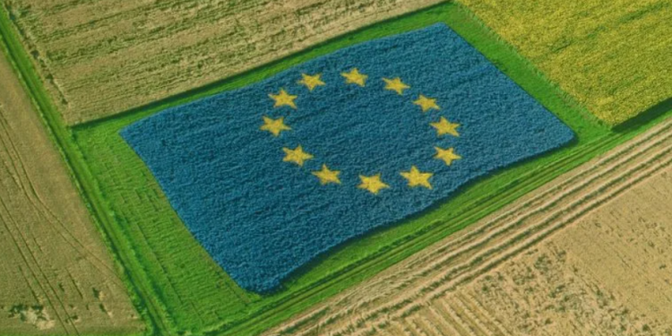 The Changing Face of Agriculture in Europe: Trends, Challenges, and Opportunities