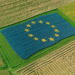 The Changing Face of Agriculture in Europe: Trends, Challenges, and Opportunities