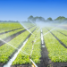 Azerbaijan’s Agricultural Journey with Dutch Expertise