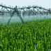 Groundwater Depletion: A Global Crisis and Sustainable Solutions