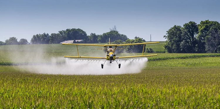 Navigating the Promise and Peril: Nanotechnology in Agriculture
