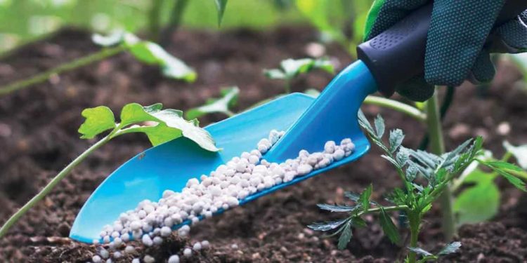 Trends and Needs in Agricultural Inputs for 2024