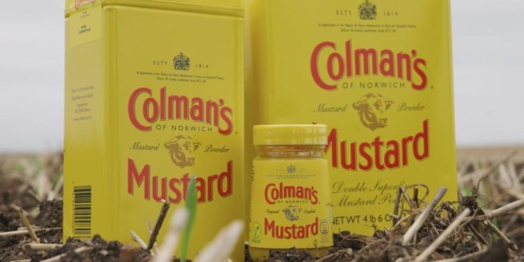 Unilever Pioneers Regenerative Agriculture in the UK: A Sustainable Path for Mustard and Mint Farming