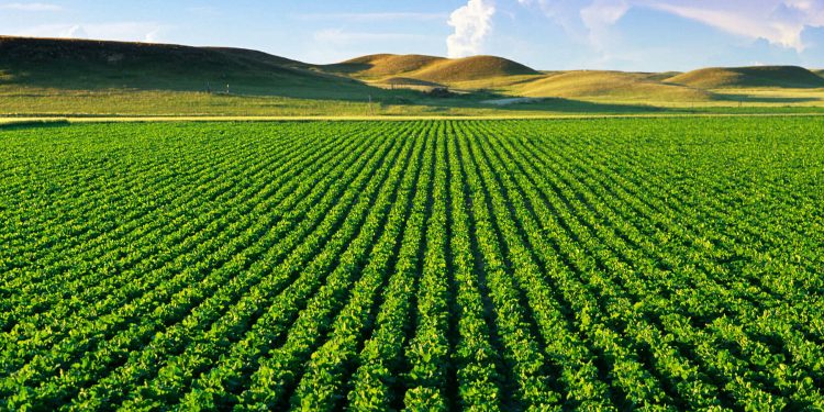 Unveiling the Agricultural Giants: Top 5 Leading Nations in Farming Excellence