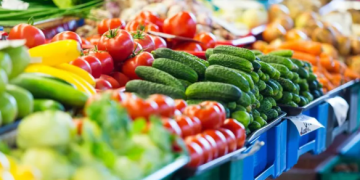 Insights into Germany’s Thriving Vegetable Industry