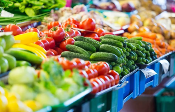 Insights into Germany’s Thriving Vegetable Industry