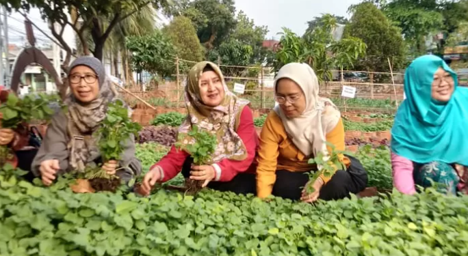 Maximizing Yield with Artificial Lighting in Depok