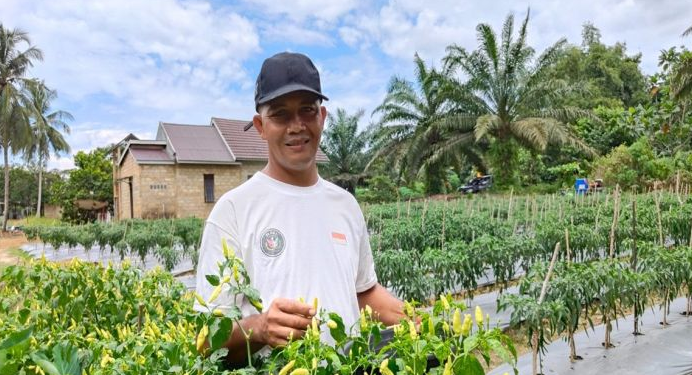How Sekar Rahayu Farming Group Fights Inflation Through Vegetable Production