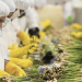 Revolutionizing Agricultural Processing: FRG Farms to Establish State-of-the-Art Packaging Plant for Over 1,000 Tons of Vegetables