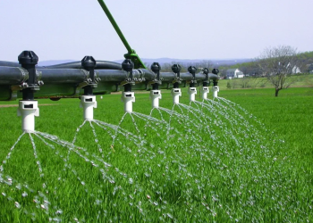 Unveiling the Innovations in Eco-Friendly Fertilizers: A Case Study of Jin Ye Technology