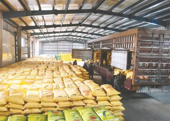 Ensuring Spring Success: Strategic Fertilizer Management