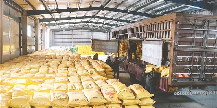 Ensuring Spring Success: Strategic Fertilizer Management