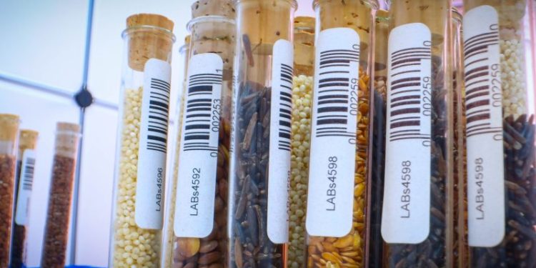 European Parliament Votes on Seed Marketing Rules