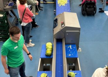 Advancing Vegetable Processing: A Showcase of Innovation and Sustainability