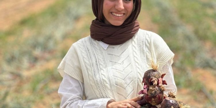 Optimizing Onion Harvest: Insights from SEKEM Group’s Cultivation Process